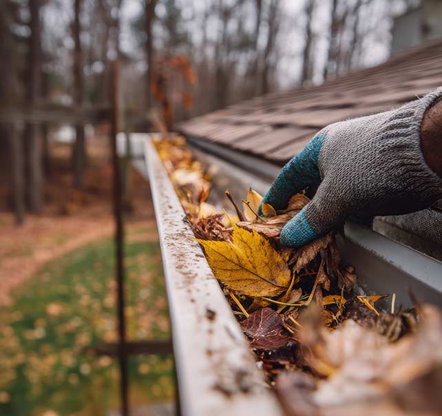 Gutter Estimate Santo Tx
