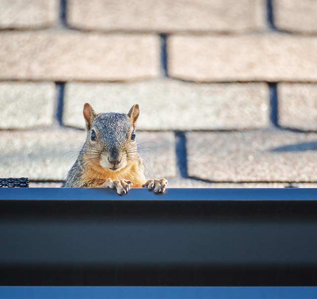 Gutter Services Weatherford Tx Seamless Gutters And Leaf Guards